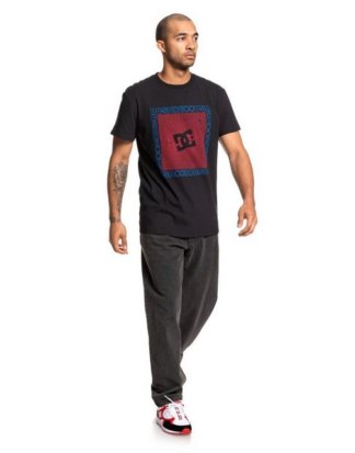 DC Shoes T-Shirt "The Mover"