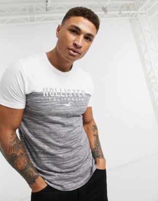 Hollister - Core - Graues T-Shirt mit Farbblockdesign und Logo