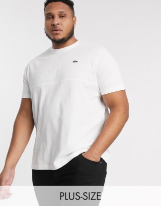 Lacoste PLUS - T-Shirt mit Logo-Weiß
