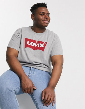 Levi's - Big & Tall - T-Shirt in Grau mit Fledermausärmeln