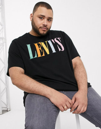 Levi's - Big & Tall - T-Shirt in Mineralschwarz mit buntem Serif-Logo
