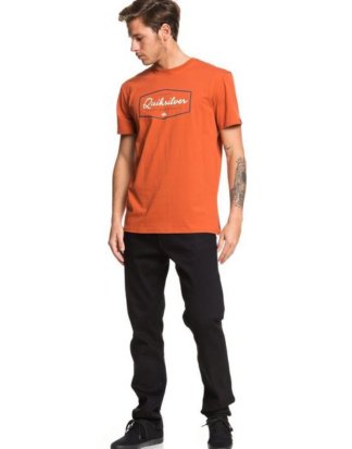 Quiksilver T-Shirt "Inside Lines"