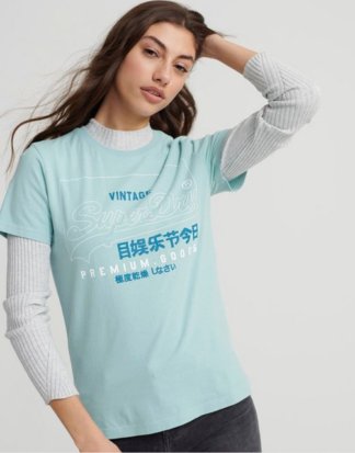 Superdry T-Shirt "PG LABEL OUTLINE ENTRY TEE" mit schlichtem Labelwording