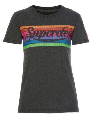 Superdry T-Shirt "PL RAINBOW ENTRY TEE" im Rainbow Design mit klassischem Logoprint