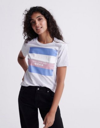 Superdry T-Shirt "STRIPE BLOCK ENTRY TEE" im Block-Design