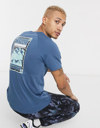 The North Face - Faces - Blaues T-Shirt, exklusiv bei ASOS-Grau