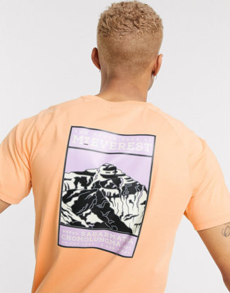 The North Face - Faces - T-Shirt in Orange, exklusiv bei ASOS