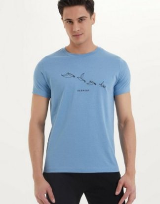 WESTMARK LONDON T-Shirt "Harmony Tee" im schlichten Design mit Lineart Print