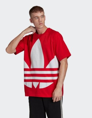 adidas Originals T-Shirt "Big Trefoil Boxy T-Shirt" adicolor